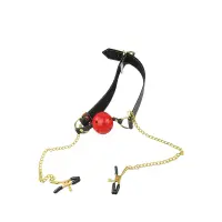 Roomfun’s Breathable Ball Gag with Attached Nipple Clamps